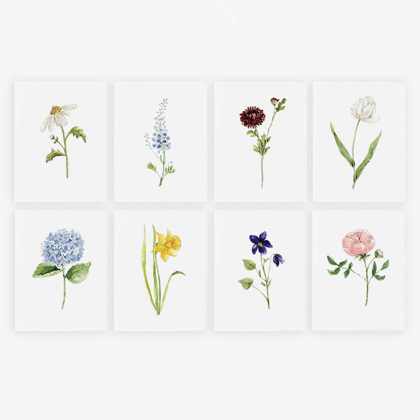 Emily Lex | Garden Flowers Assorted Notecards - Set of 8