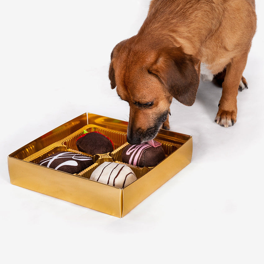 Fabdog | Dogiva box - Box of 4 Toys