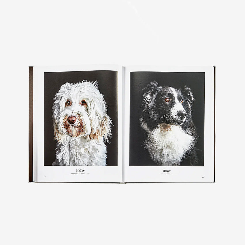 Graphic Image | Good Dog