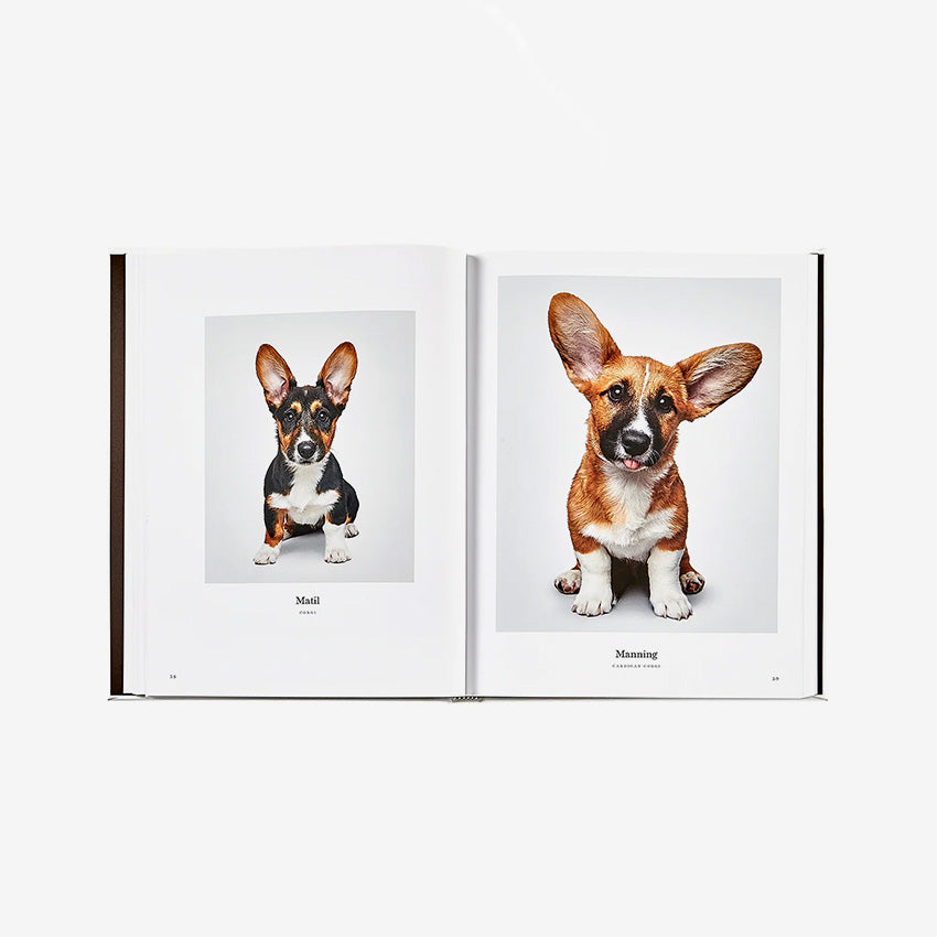 Graphic Image | Good Dog