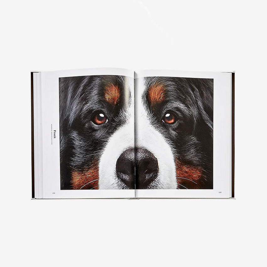 Graphic Image | Good Dog