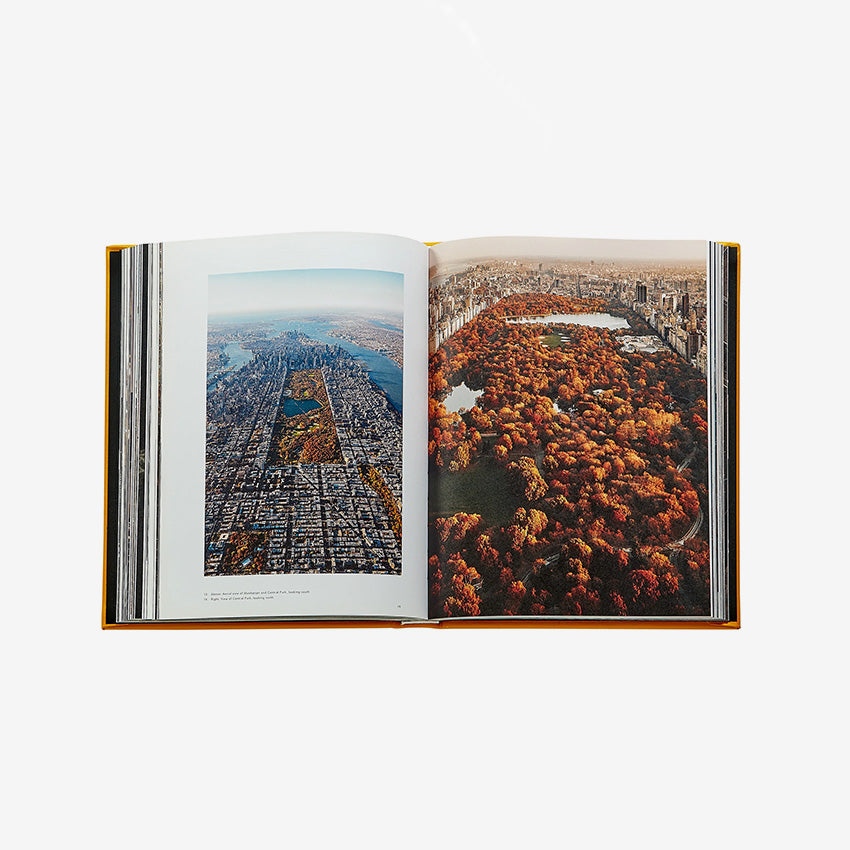 Graphic Image | Trope New York