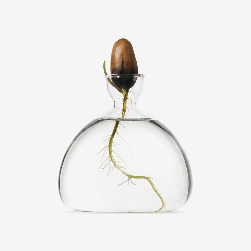 Ilex Studio | Acorn Vase
