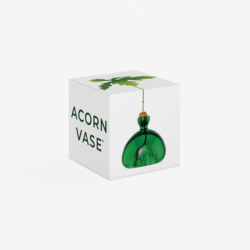 Ilex Studio | Acorn Vase