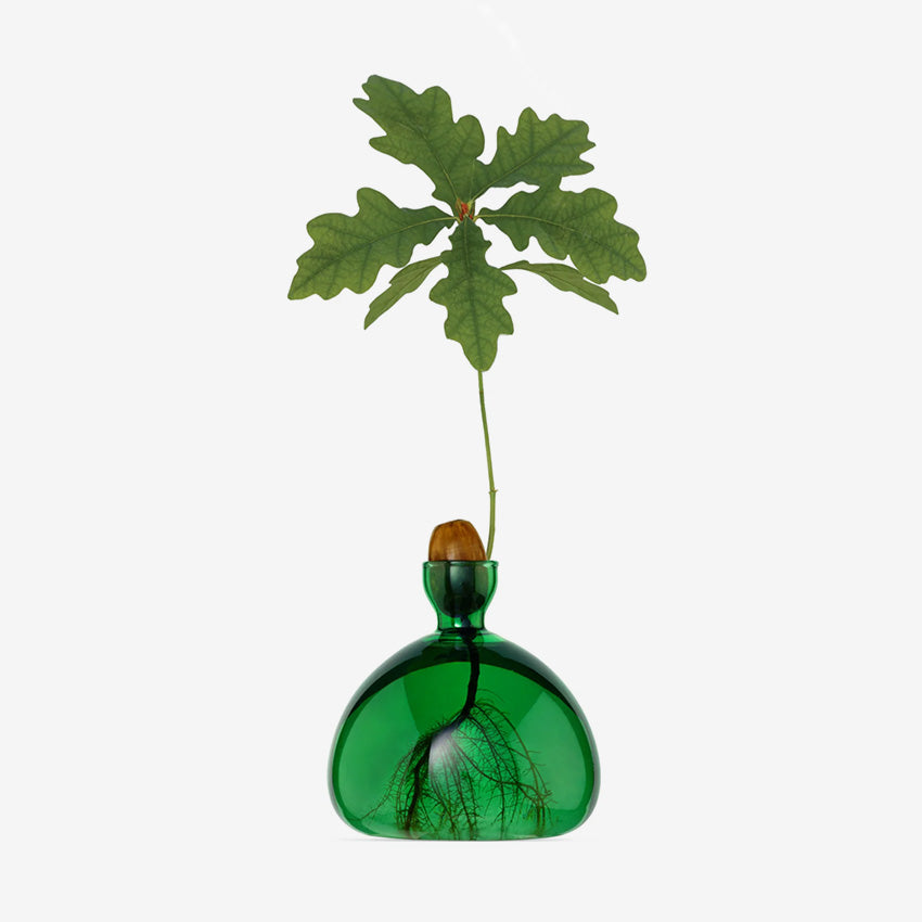 Ilex Studio | Acorn Vase