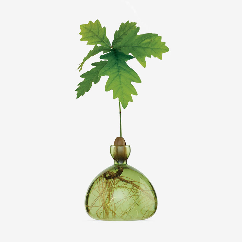 Ilex Studio | Acorn Vase