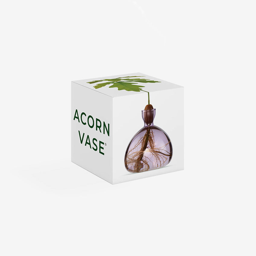 Ilex Studio | Acorn Vase