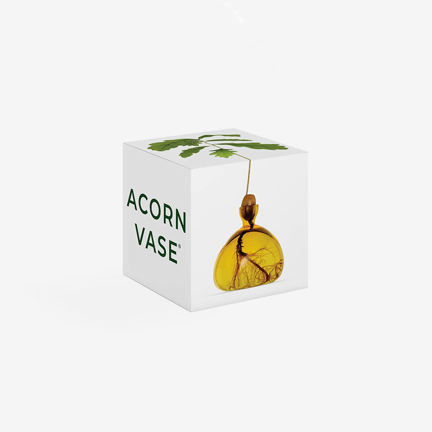 Ilex Studio | Acorn Vase