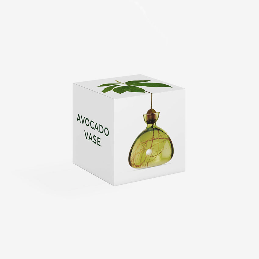 Ilex Studio | Avocado Vase
