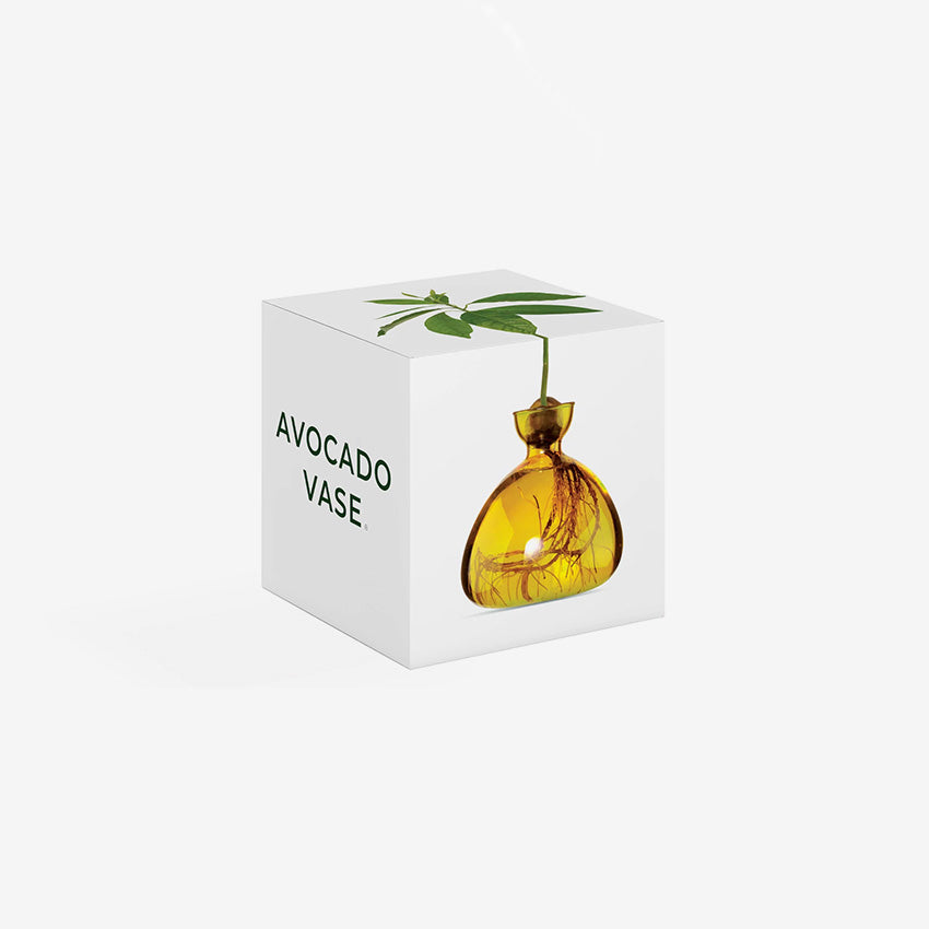 Ilex Studio | Avocado Vase