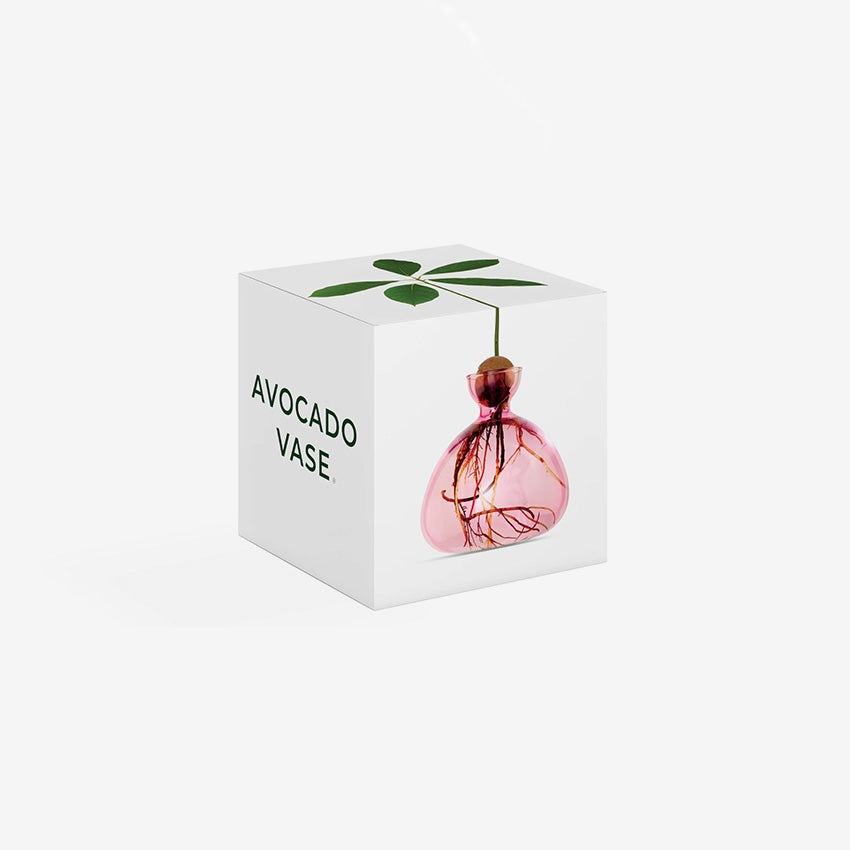 Ilex Studio | Avocado Vase