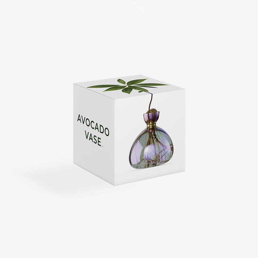 Ilex Studio | Avocado Vase