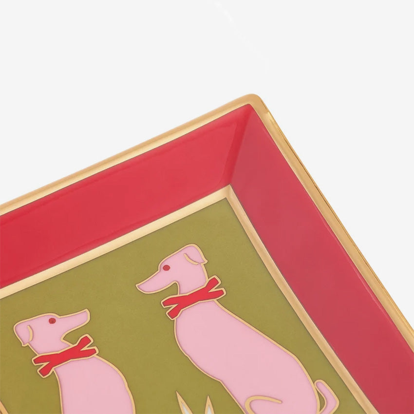 Jonathan Adler | Plateau Carré Playa Greyhounds
