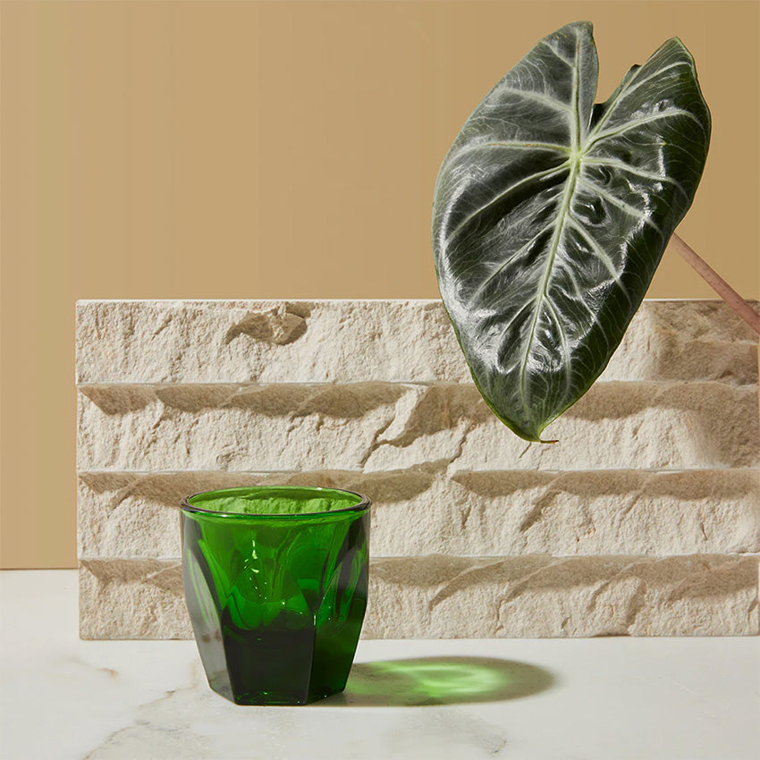 Not Neutral | Vero Cortado 4.25oz