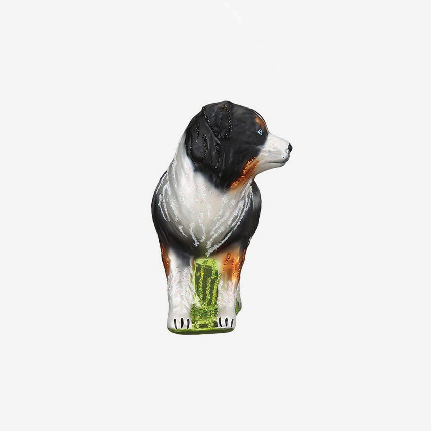 Old World Christmas | Blown Glass Ornament - Australian Shepherd