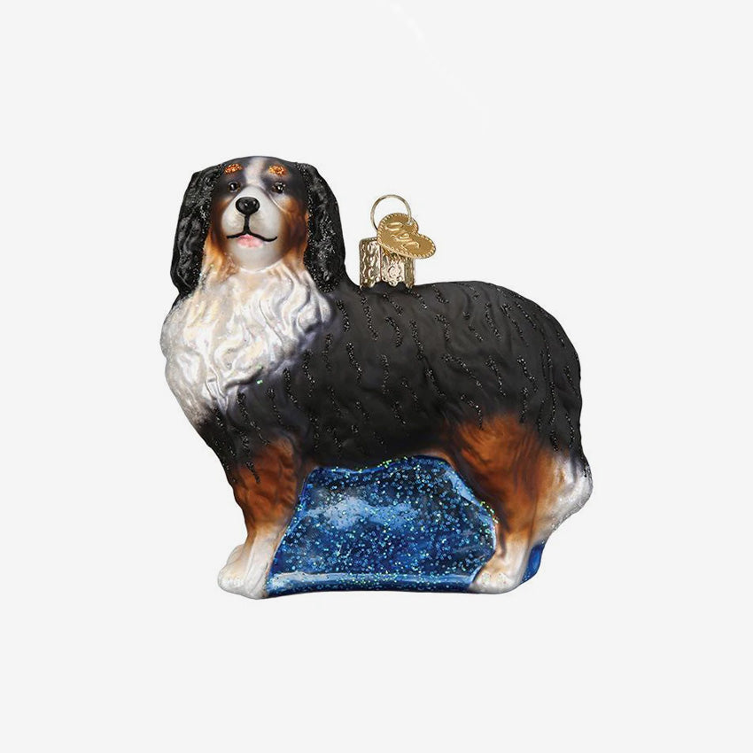 Old World Christmas | Blown Glass Ornament - Bernese Mountain Dog