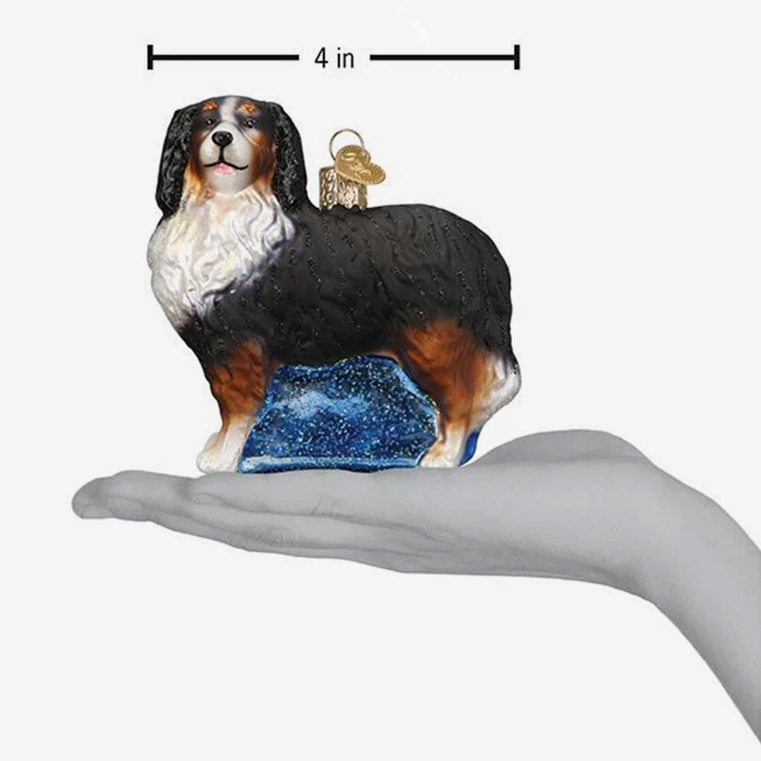 Old World Christmas | Blown Glass Ornament - Bernese Mountain Dog