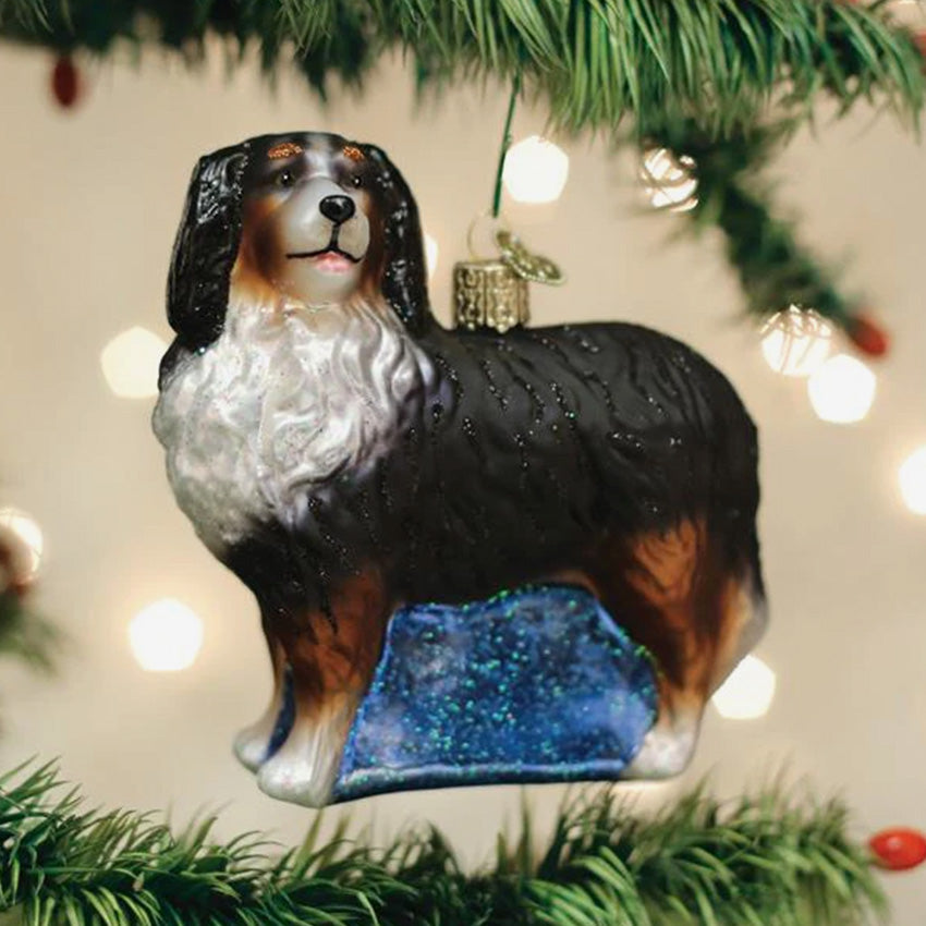 Old World Christmas | Blown Glass Ornament - Bernese Mountain Dog