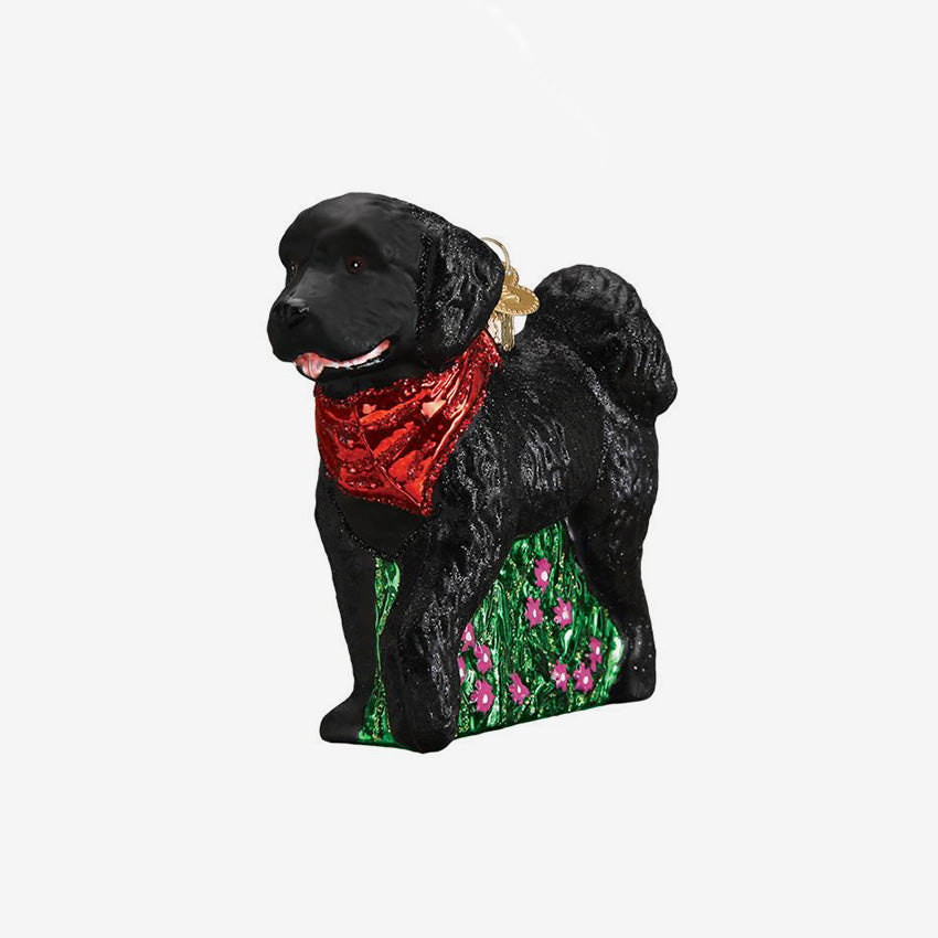 Old World Christmas | Blown Glass Ornament - Black Doodle Dog