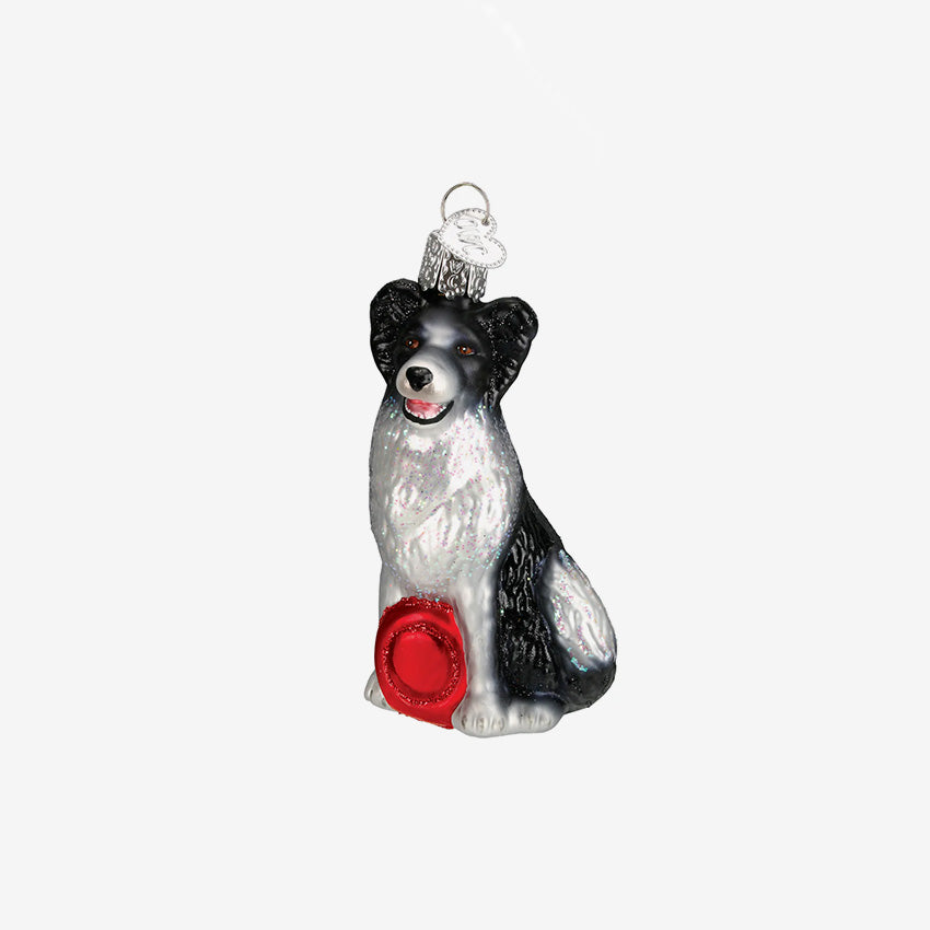 Old World Christmas | Blown Glass Ornament - Border Collie