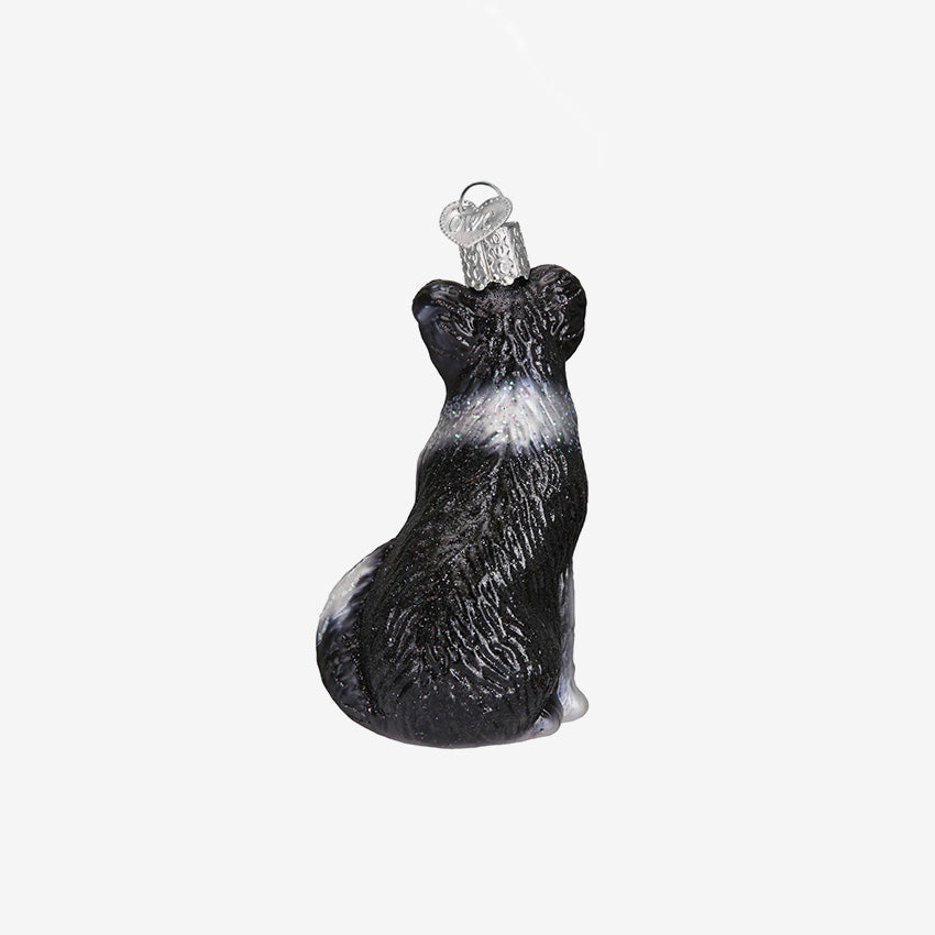 Old World Christmas | Blown Glass Ornament - Border Collie
