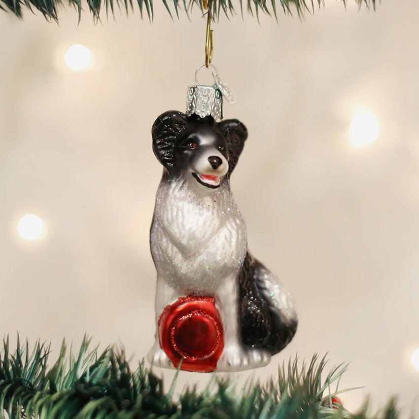 Old World Christmas | Blown Glass Ornament - Border Collie