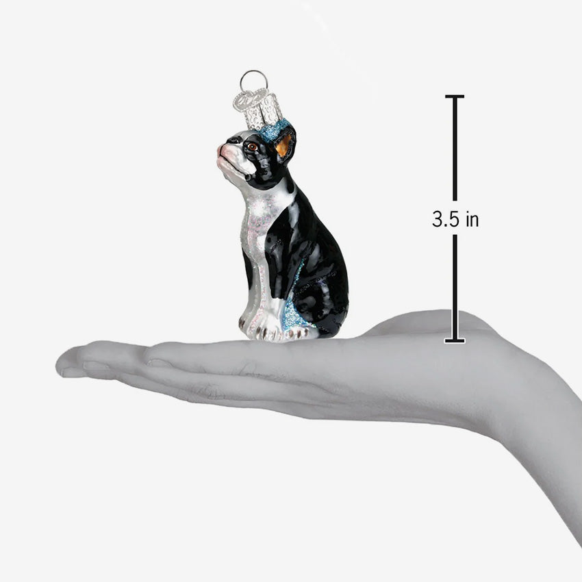 Old World Christmas | Blown Glass Ornament - Boston Terrier