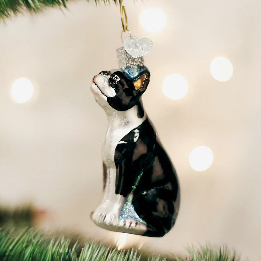 Old World Christmas | Blown Glass Ornament - Boston Terrier