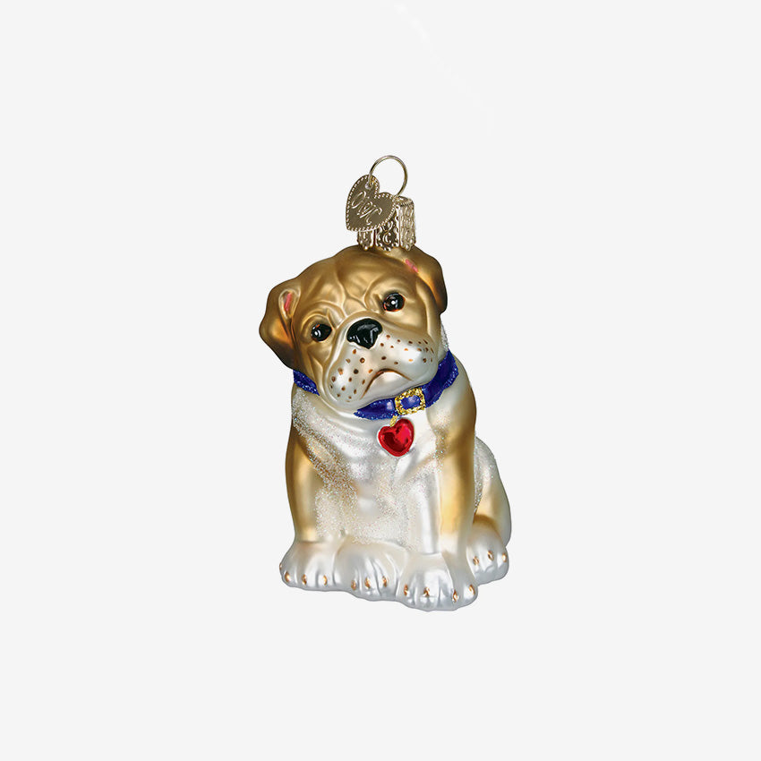 Old World Christmas | Blown Glass Ornament - Bull Pup
