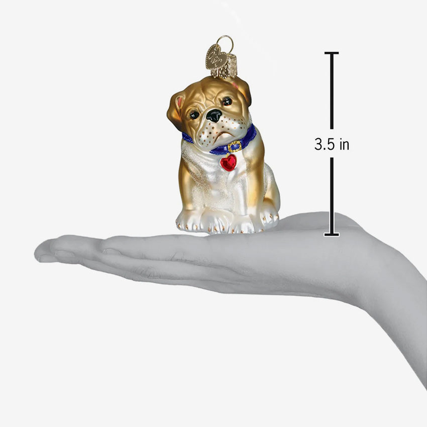 Old World Christmas | Blown Glass Ornament - Bull Pup