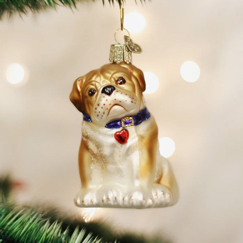 Old World Christmas | Blown Glass Ornament - Bull Pup