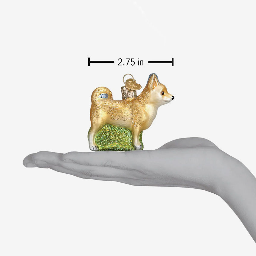 Old World Christmas | Blown Glass Ornament - Chihuahua