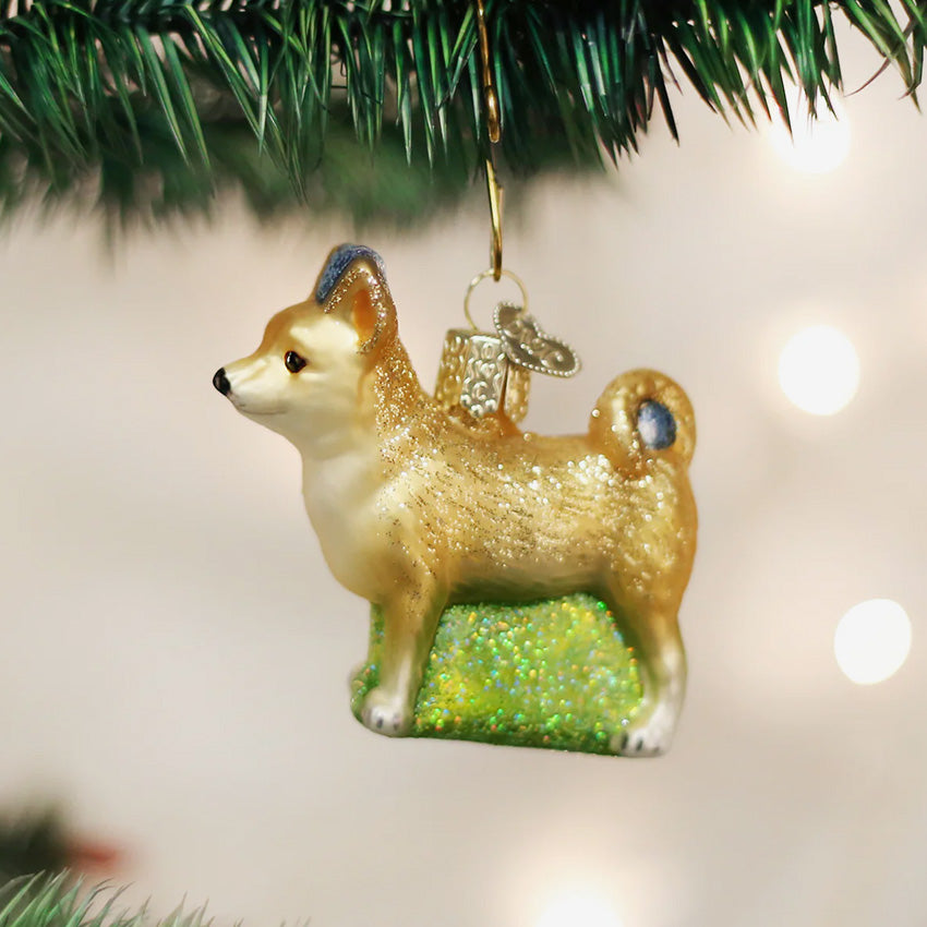 Old World Christmas | Blown Glass Ornament - Chihuahua