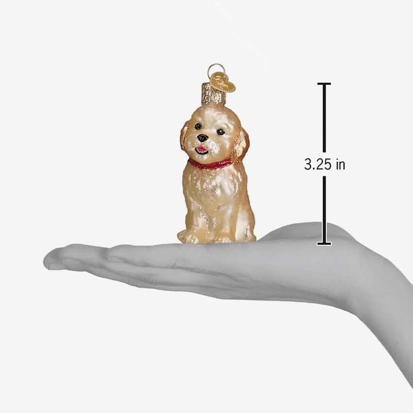 Old World Christmas | Blown Glass Ornament - Cockapoo Puppy