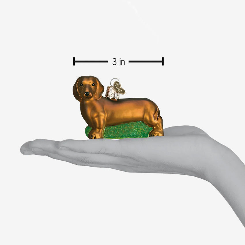 Old World Christmas | Blown Glass Ornament - Dachshund