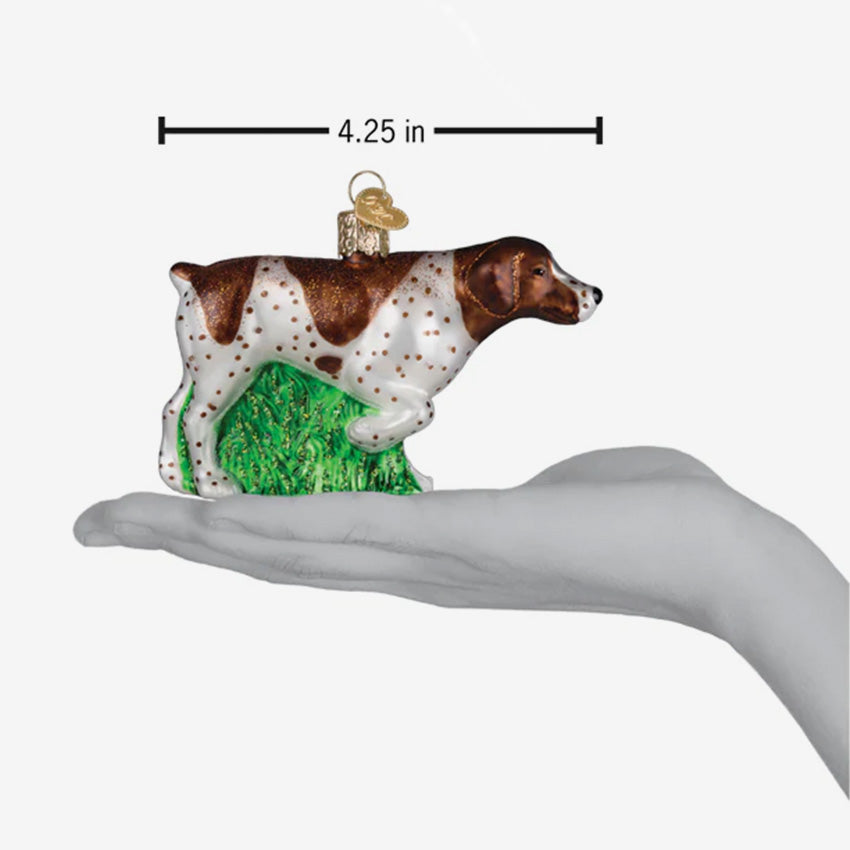 Old World Christmas | Blown Glass Ornament - German Shorthaired Pointer