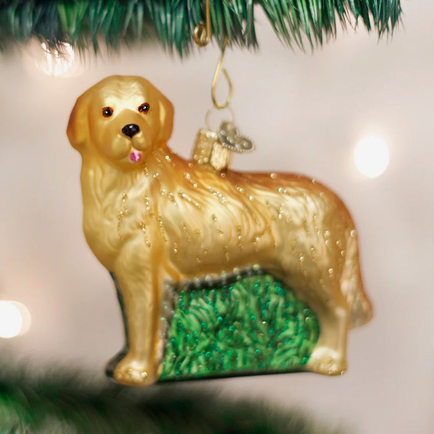Old World Christmas | Blown Glass Ornament - Golden Retriever