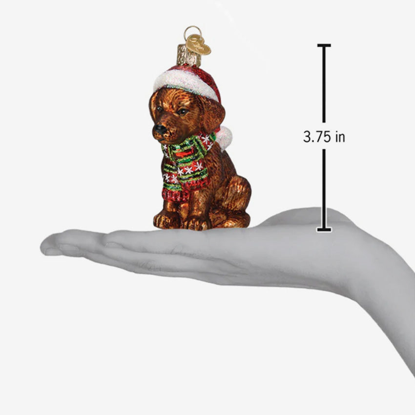 Old World Christmas | Blown Glass Ornament - Holiday Black Labrador Pup