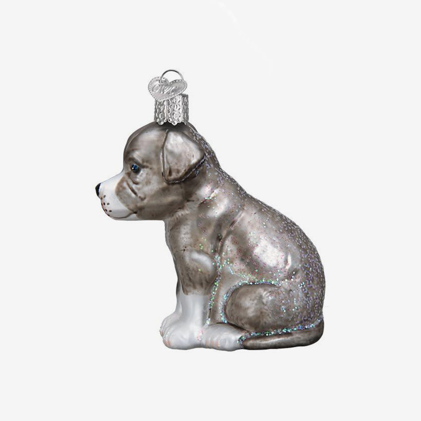 Old World Christmas | Blown Glass Ornament - Pitbull Pup