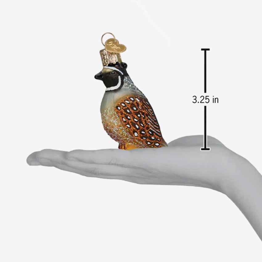 Old World Christmas | Blown Glass Ornament - Quail