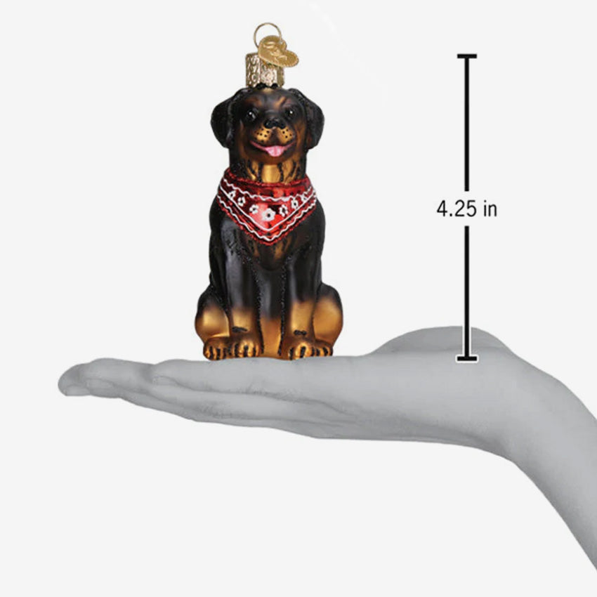 Old World Christmas | Blown Glass Ornament - Rottweiler