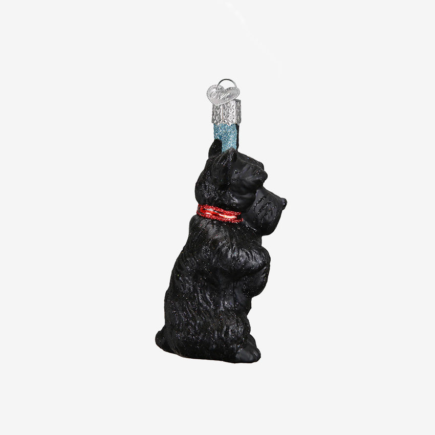 Old World Christmas | Blown Glass Ornament - Scottish Terrier
