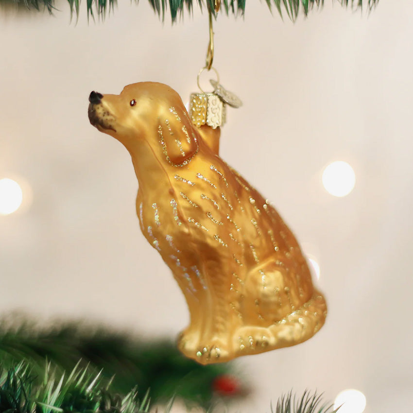 Old World Christmas | Blown Glass Ornament - Sitting Golden