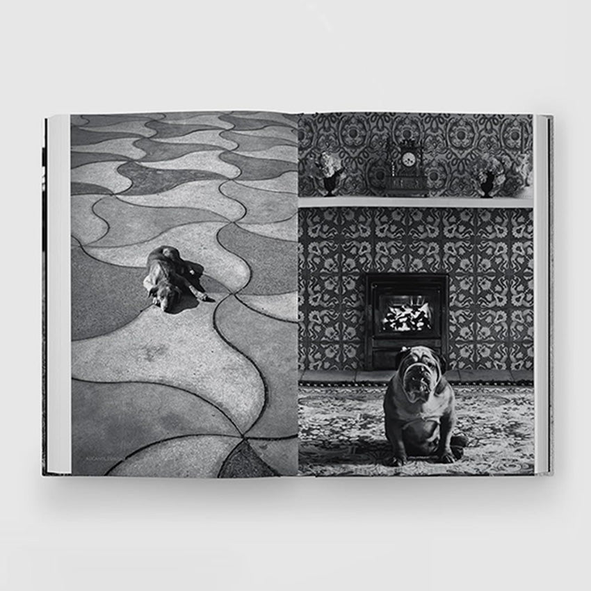 Phaidon | Quelle vie de chien (in French)