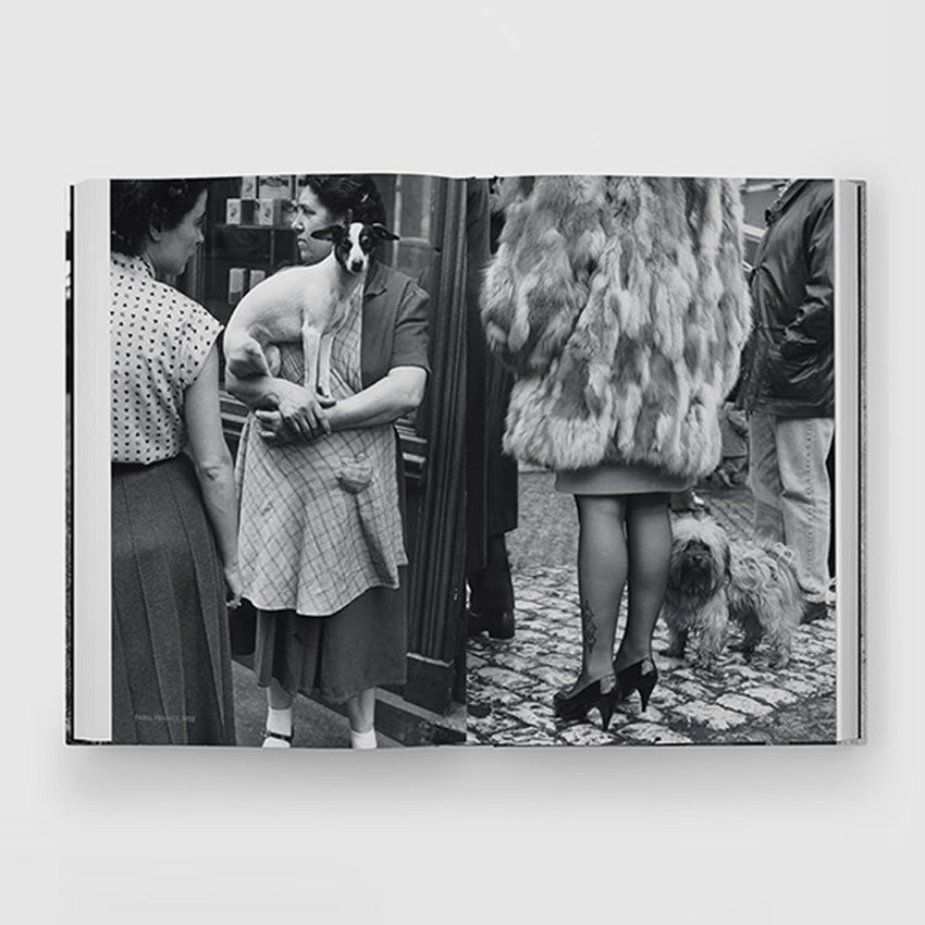 Phaidon | Quelle vie de chien (in French)