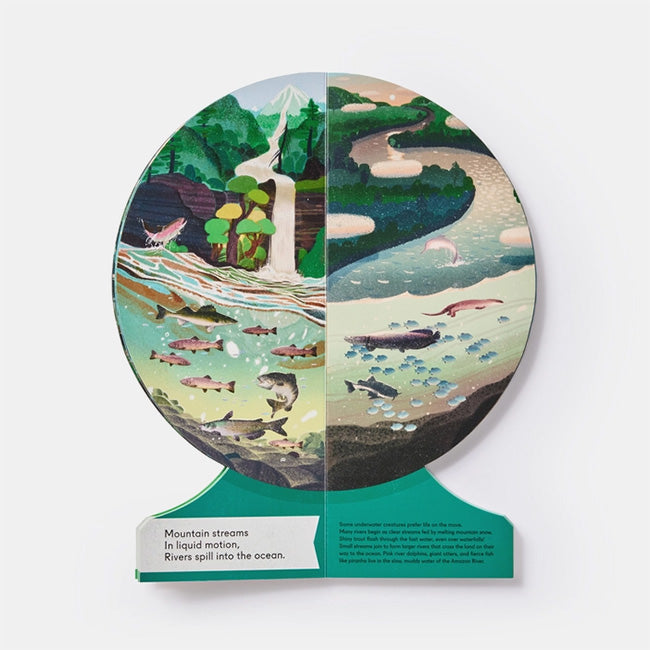Phaidon | Our Underwater World: A First Dive into Oceans, Lakes, and Rivers