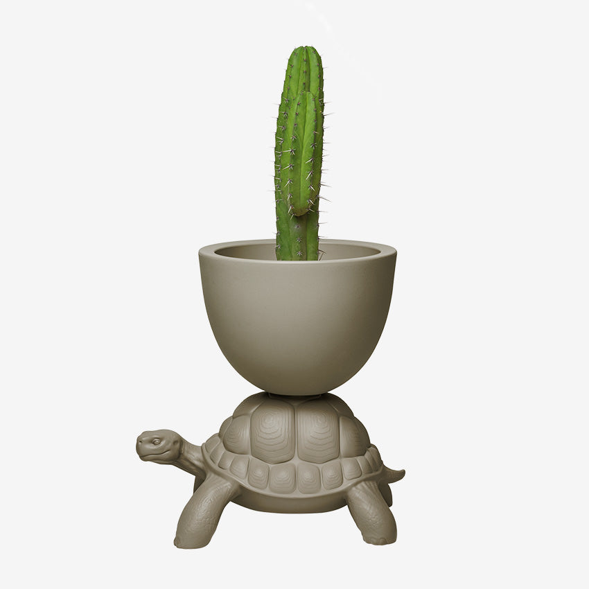 Qeeboo | Turtle Carry Planter and Champagne Cooler
