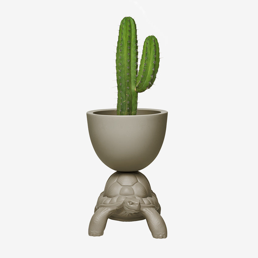 Qeeboo | Turtle Carry Planter and Champagne Cooler