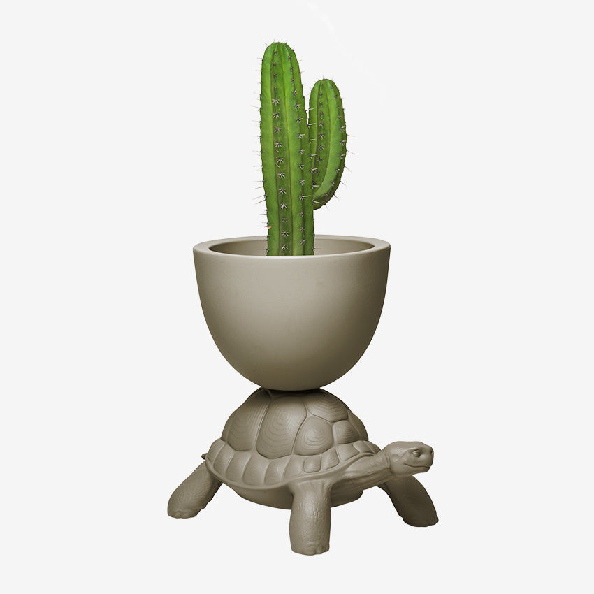 Qeeboo | Turtle Carry Planter and Champagne Cooler