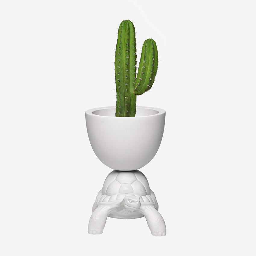 Qeeboo | Turtle Carry Planter and Champagne Cooler